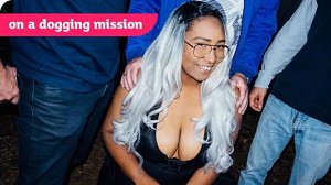 Denali Dink Lu – On A Dogging Mission